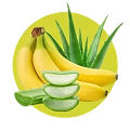 Banana Aloe
