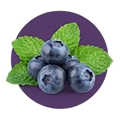 Bilberry Mint