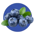 Blueberry