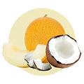 Coconut Melon