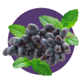Grape Mint