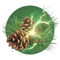 Pine Energy