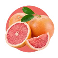 Pink Grapefruit